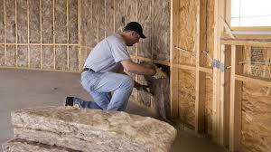 Best Basement Insulation  in Odessa, FL